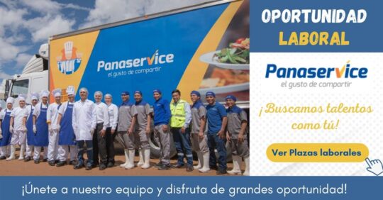 TRABAJA EN PANASERVICE, EMPLEOS EN MINERIA, CONSECIONARIO PANASERVICE, CONVOCATORIA DE TRABAJO EN PANASERVICE PERU
